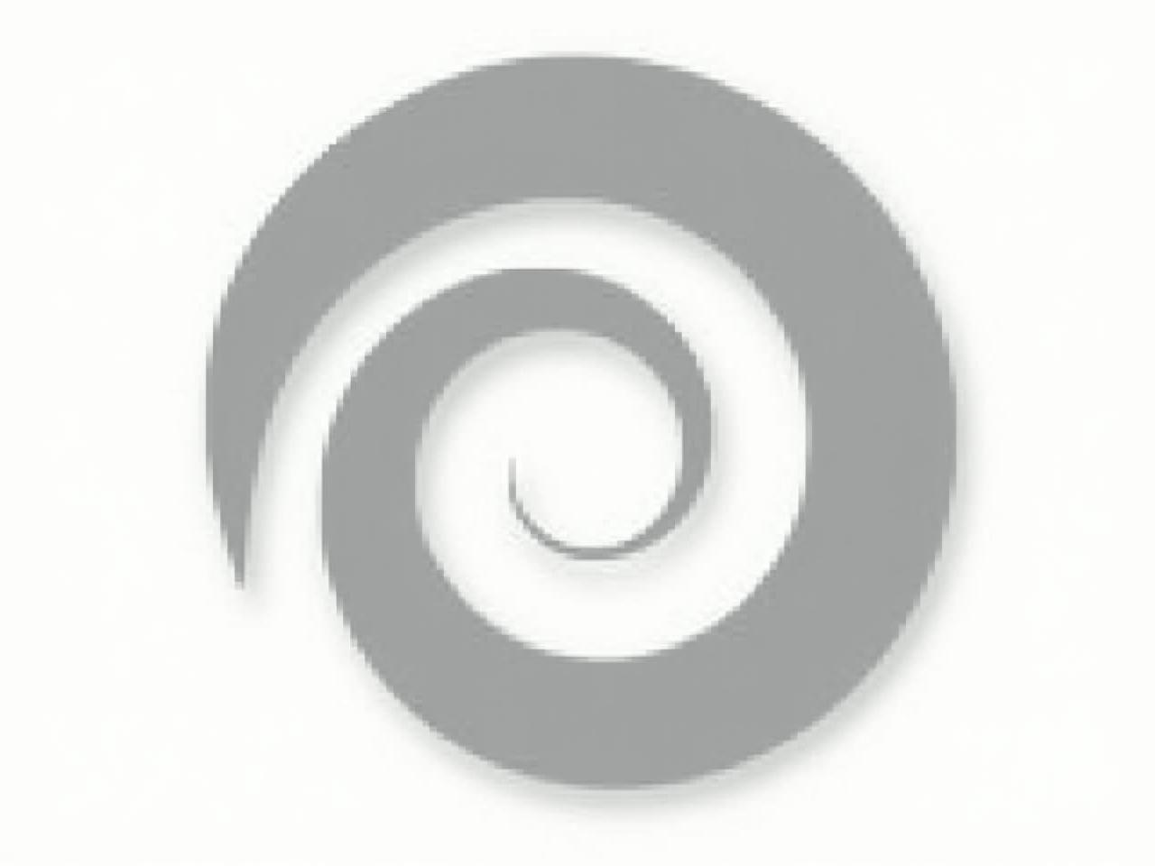 Abstract spiral graphic representing continuous growth and development.