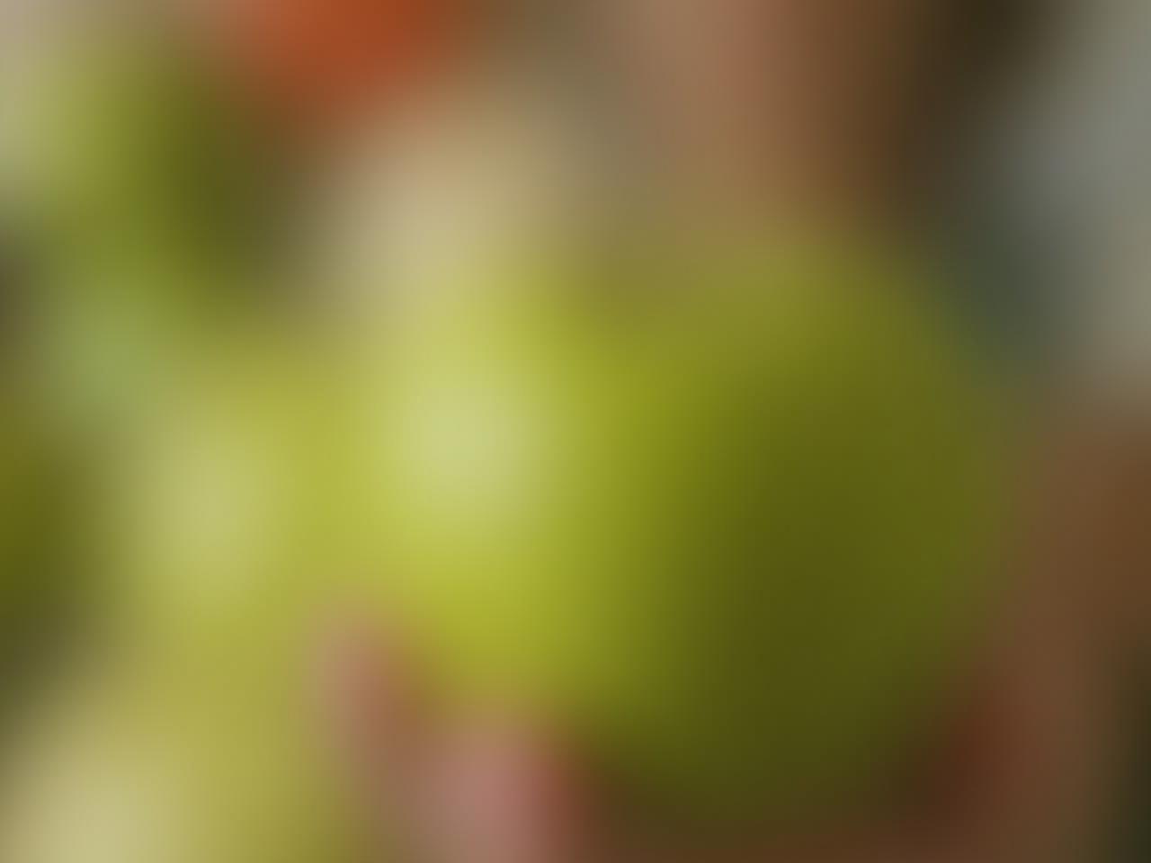 A person holding a green apple with a blurred background of fresh produce, symbolizing healthy eating and detoxification.